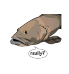 Water Animals（個別スタンプ：38）