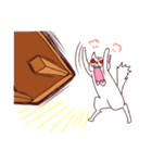 J Bear ＆ F Cat（個別スタンプ：30）