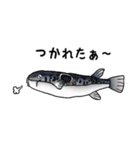 武蔵が描いてみた（個別スタンプ：15）
