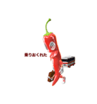 Mr,red pepper（個別スタンプ：24）