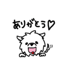 マルチーズのバニラ（個別スタンプ：2）