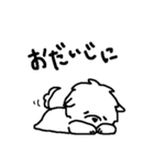 マルチーズのバニラ（個別スタンプ：7）