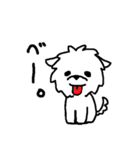 マルチーズのバニラ（個別スタンプ：9）