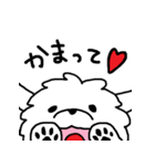 マルチーズのバニラ（個別スタンプ：19）