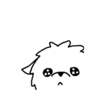 マルチーズのバニラ（個別スタンプ：24）