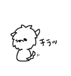 マルチーズのバニラ（個別スタンプ：29）