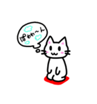 ざぶにゃんスタンプ（個別スタンプ：6）