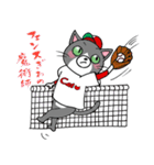 つぶやきニャンコ vol.4 Hiroshima Cat 2（個別スタンプ：11）