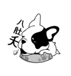 Mine Bulldog（個別スタンプ：1）