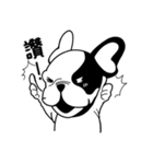 Mine Bulldog（個別スタンプ：3）