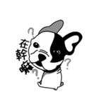 Mine Bulldog（個別スタンプ：5）