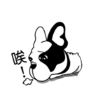 Mine Bulldog（個別スタンプ：13）