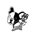 Mine Bulldog（個別スタンプ：16）