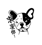 Mine Bulldog（個別スタンプ：21）