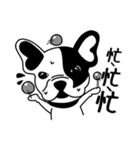Mine Bulldog（個別スタンプ：29）