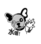 Mine Bulldog（個別スタンプ：30）