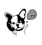 Mine Bulldog（個別スタンプ：32）