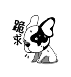 Mine Bulldog（個別スタンプ：34）