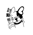 Mine Bulldog（個別スタンプ：38）