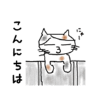 三毛猫の猫美 1（個別スタンプ：2）