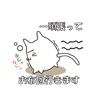 猫、おやすみからおはようまで。（個別スタンプ：20）