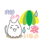 猫、おやすみからおはようまで。（個別スタンプ：28）