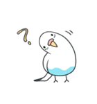 日常インコ（個別スタンプ：1）