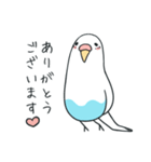 日常インコ（個別スタンプ：2）