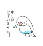 日常インコ（個別スタンプ：3）