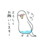 日常インコ（個別スタンプ：4）