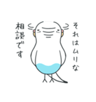 日常インコ（個別スタンプ：5）