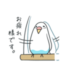日常インコ（個別スタンプ：6）