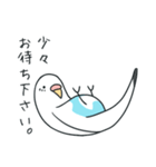 日常インコ（個別スタンプ：7）