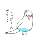 日常インコ（個別スタンプ：10）