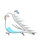 日常インコ（個別スタンプ：11）