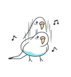 日常インコ（個別スタンプ：12）