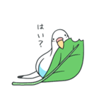 日常インコ（個別スタンプ：18）