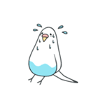 日常インコ（個別スタンプ：19）