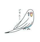 日常インコ（個別スタンプ：20）