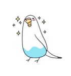 日常インコ（個別スタンプ：21）