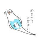 日常インコ（個別スタンプ：22）