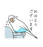 日常インコ（個別スタンプ：24）
