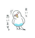日常インコ（個別スタンプ：29）