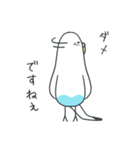 日常インコ（個別スタンプ：30）