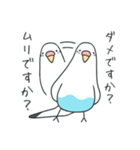 日常インコ（個別スタンプ：33）