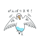 日常インコ（個別スタンプ：35）