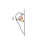 日常インコ（個別スタンプ：36）
