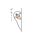 日常インコ（個別スタンプ：37）