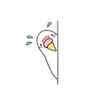 日常インコ（個別スタンプ：38）