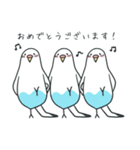 日常インコ（個別スタンプ：40）